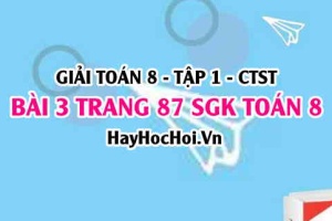 Giải bài 3 trang 87 Toán 8 Tập 1 SGK Chân trời sáng tạo
